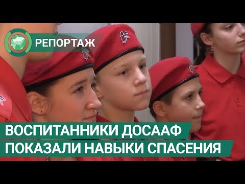 Руководство Крыма выделит региональному ДОСААФ 30 млн рублей на патриотическое воспитание