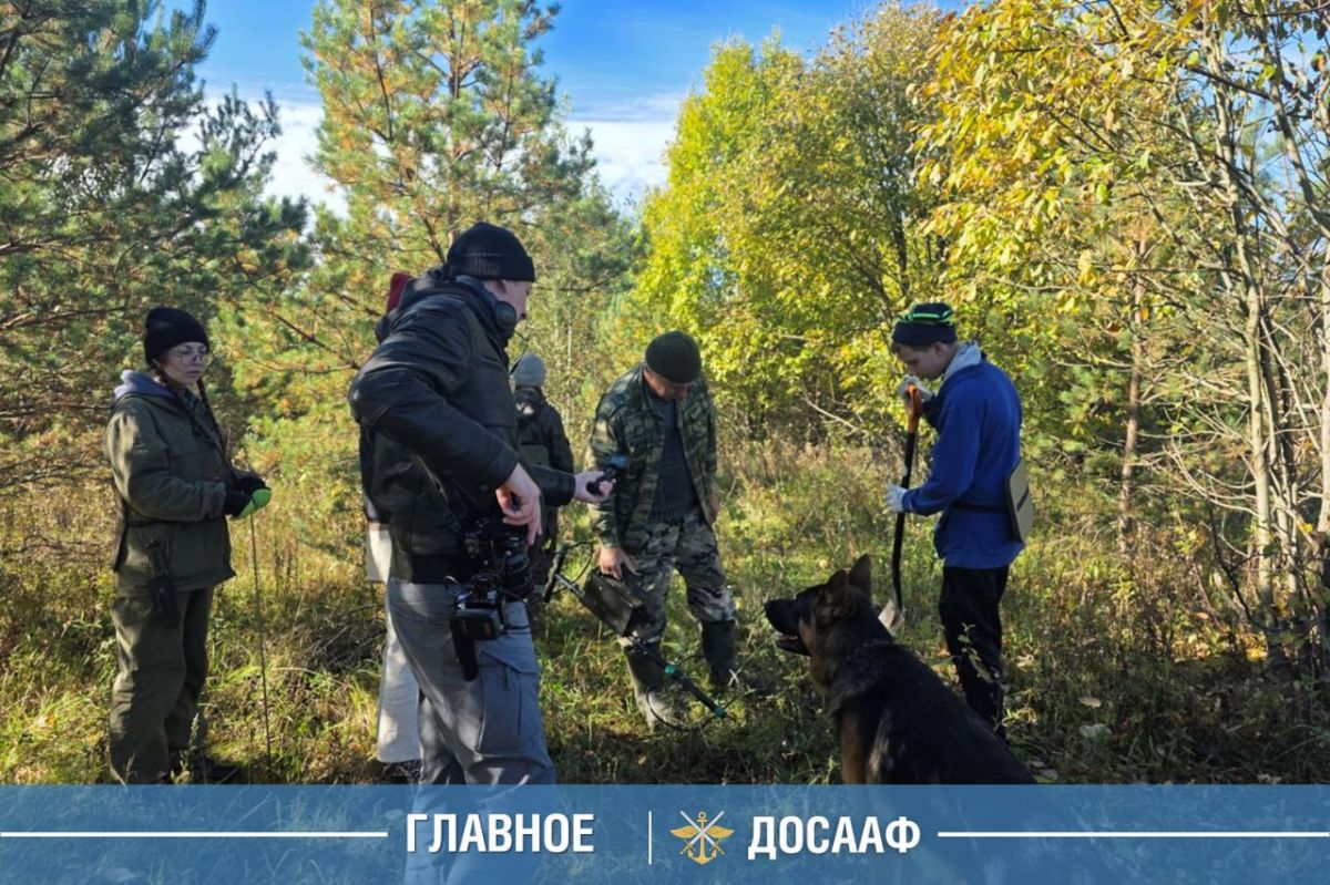 Поисковый центр ДОСААФ: работы в деревне Вотолино