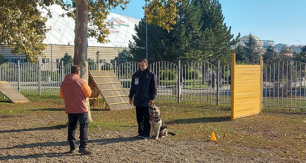 В национальных видах дрессировки сильней овчарки и доберманы