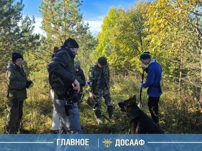 Поисковый центр ДОСААФ: работы в деревне Вотолино